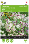 Cherry Caramel Phlox - Vlambloem zaden
