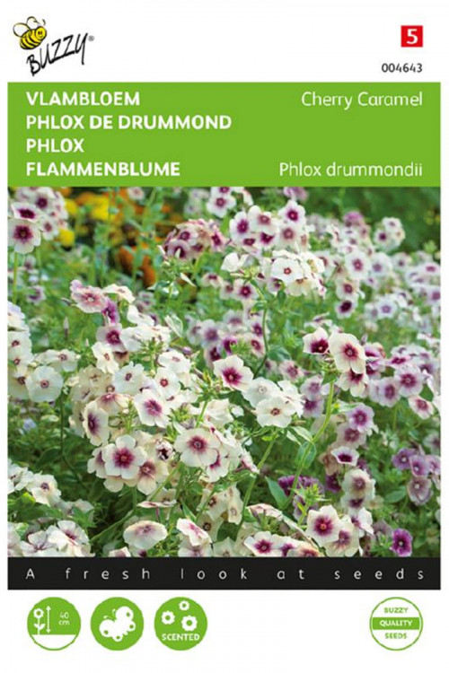 Cherry Caramel Phlox - Vlambloem zaden