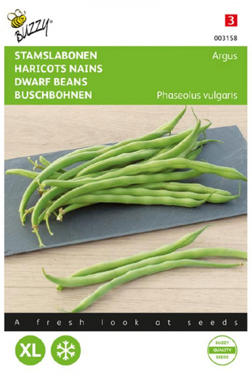 Argus Dwarf Bean