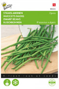 Opera Haricot Vert Dwarf Bean