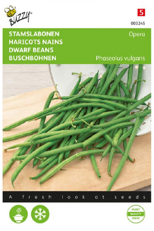 Opera Haricot Vert Dwarf Bean