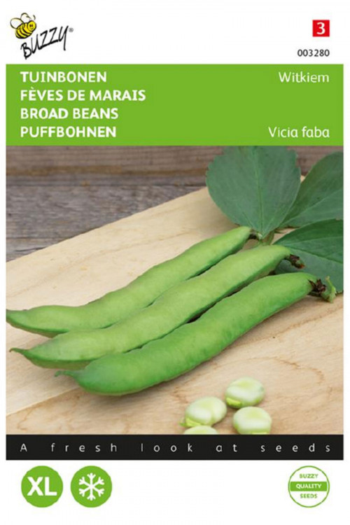 Witkiem Broad bean