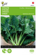 Winter giants spinach seeds