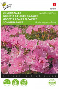 Sweetheart Pink - Zomerazalea zaden