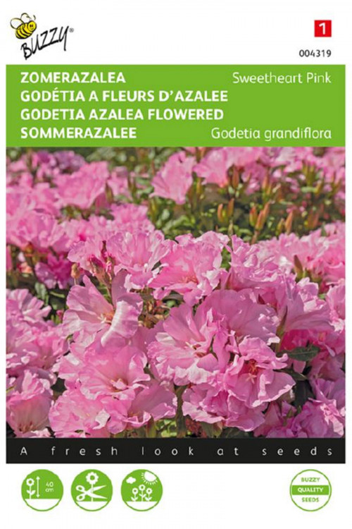 Sweetheart Pink - Zomerazalea zaden