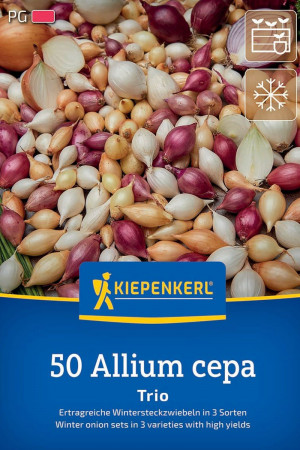 Winter Plantuien Trio Mix...