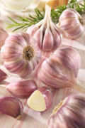 Pink Winter garlic Germidour 3 pieces