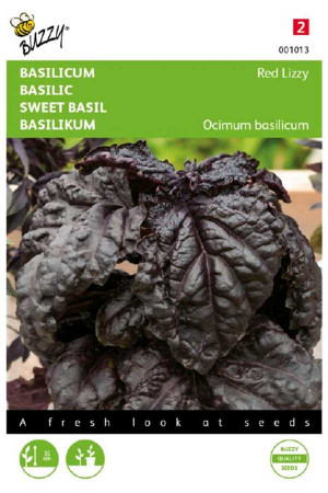 Red Lizzy Basil seeds - 2026
