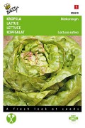 May Queen Lettuce seeds - 2026
