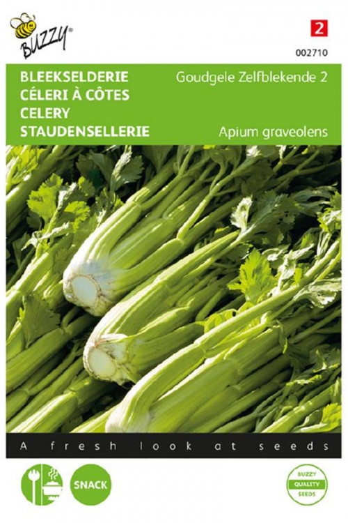 Goudgele Zelfblekende Bleekselderie zaden - 2026
