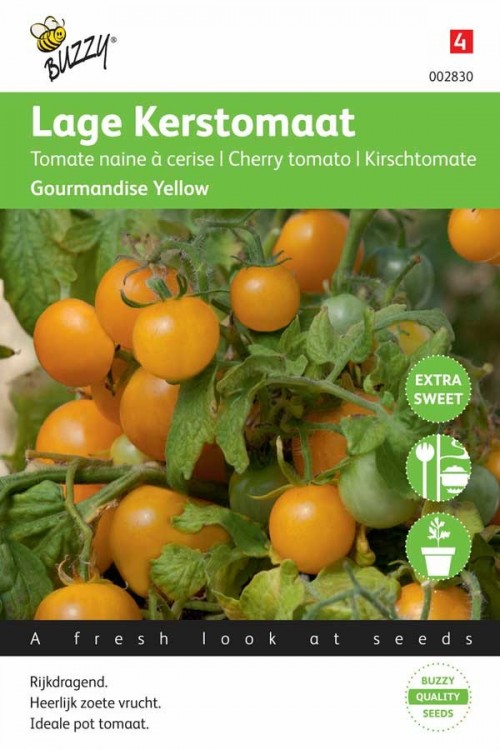 Gourmandise Yellow Cherry tomato seeds - 2026