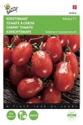 Modus F1 cherry tomato seeds - 2026