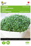 Broad Leaf Cress seeds - 2026