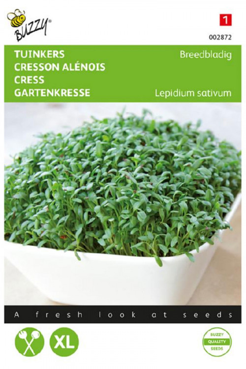 Broad Leaf Cress seeds - 2026