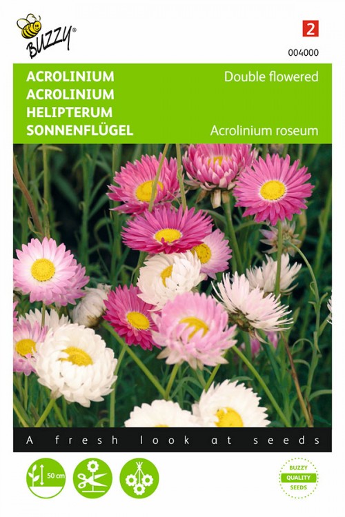 Double flowered Everlastingflower Helipterum seeds - 2026