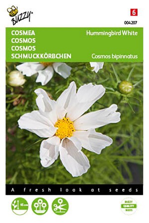 Hummingbird Cosmos zaden -...