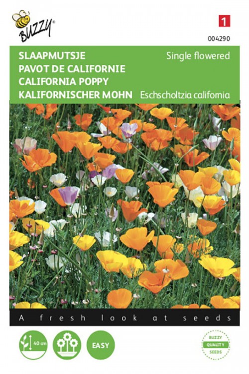 Single California poppy Eschscholtzia seeds - 2026