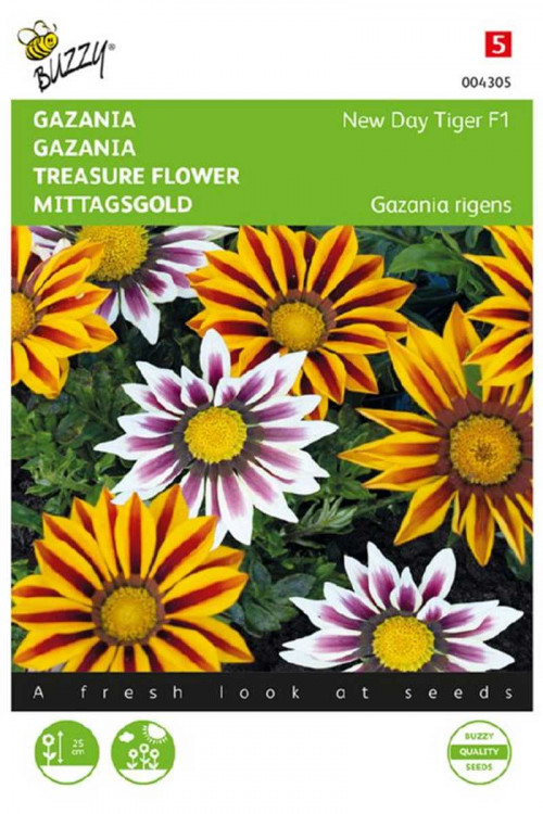 Tiger F1 Gazania seeds - 2026