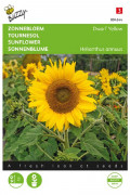 Dwarf Yellow Zonnebloem Helianthus zaden - 2026