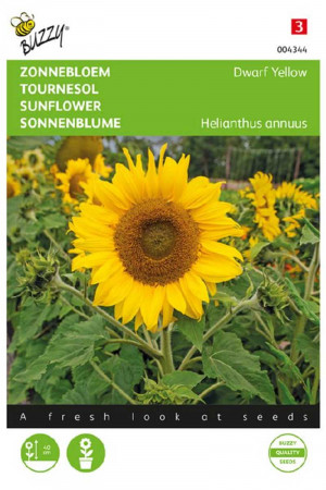 Dwarf Yellow Zonnebloem...