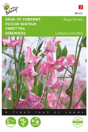 Royal Family Rose Siererwt...