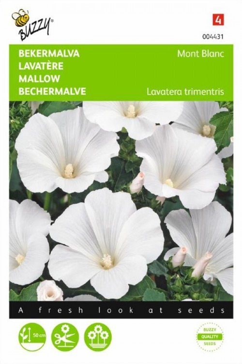Mont Blanc Mallow seeds - 2026