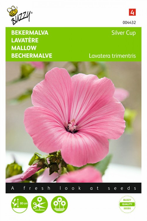 Silver Cup Royal Mallow seeds - 2026