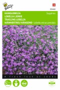 Sapphire Trailing Lobelia seeds - 2026