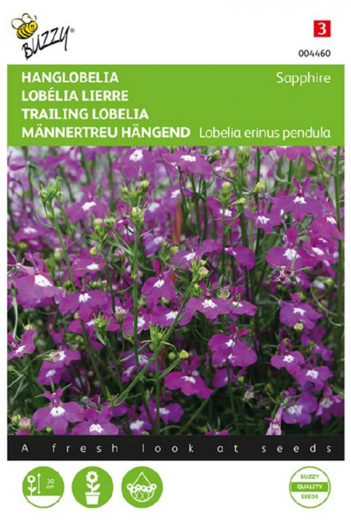 Sapphire Trailing Lobelia seeds - 2026