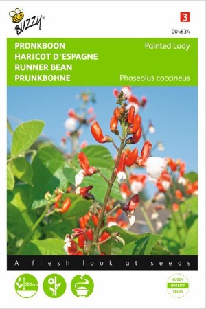 Runner Beans Painted Lady - Pronkboon