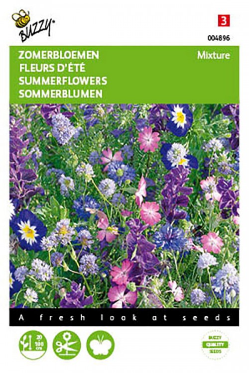 Blue Summer flowers seeds - 2026