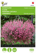Sibella Carmine Nodding Catchfly seeds - 2026