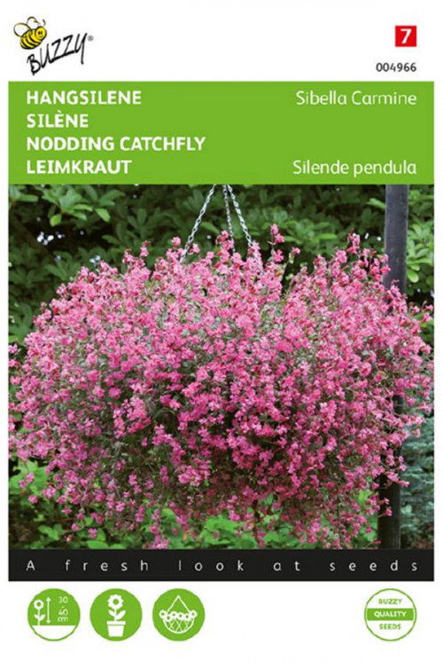 Sibella Carmine Nodding Catchfly seeds - 2026