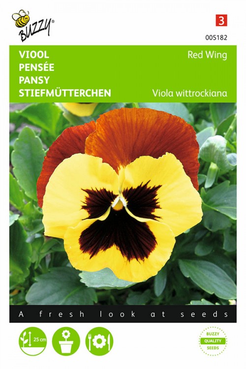 Red Wing - Pansy seeds - 2026