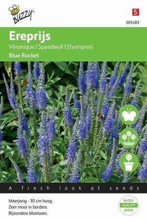Ereprijs (Veronica) Blue Rocket