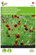 Prairiekegelbloem Ratibida zaden - 2026