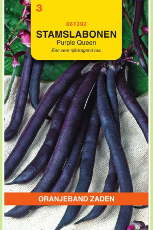 Purple Queen paarse...