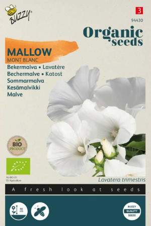 Mont Blanc Mallow Lavatera...