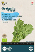 Namenia Turnip greens Organic seeds - 2026