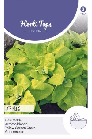Yellow Garden Melde seeds -...