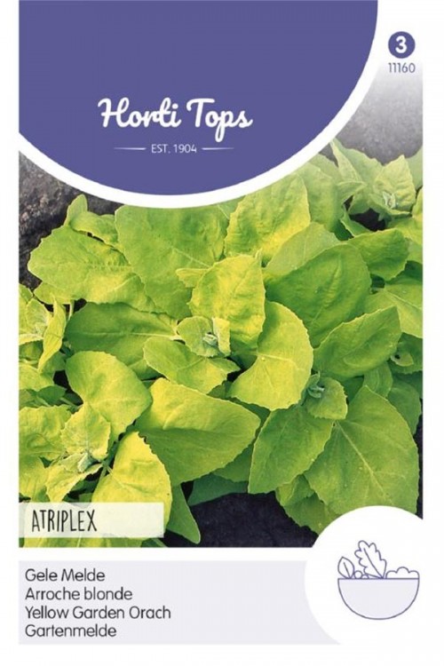 Yellow Garden Melde seeds - 2026
