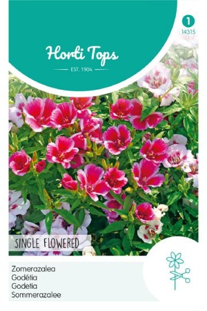 Single Flowered Godetia...