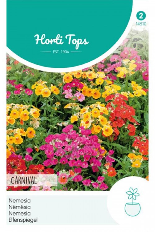 Carnaval Nemesia seeds - 2026