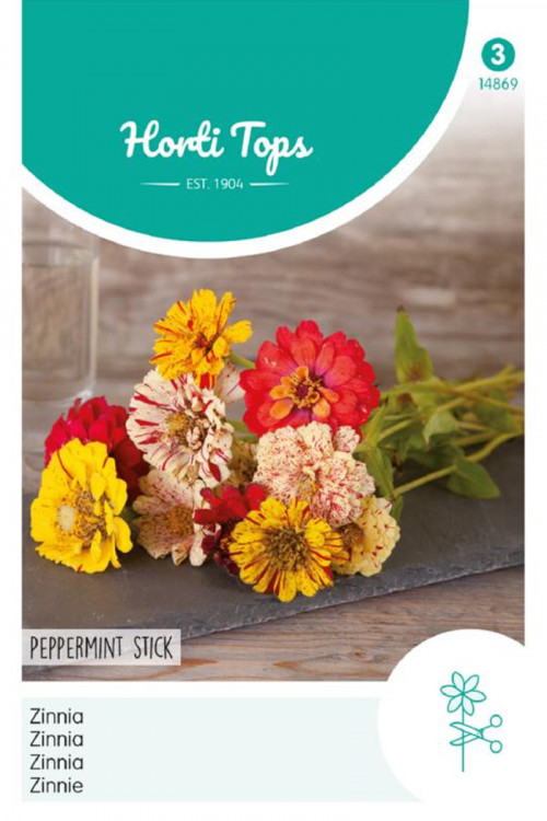 Peppermint Stick Zinnia seeds - 2026