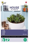 Aloe Mixture seeds - 2026