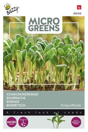 Borage - Microgreens seeds...