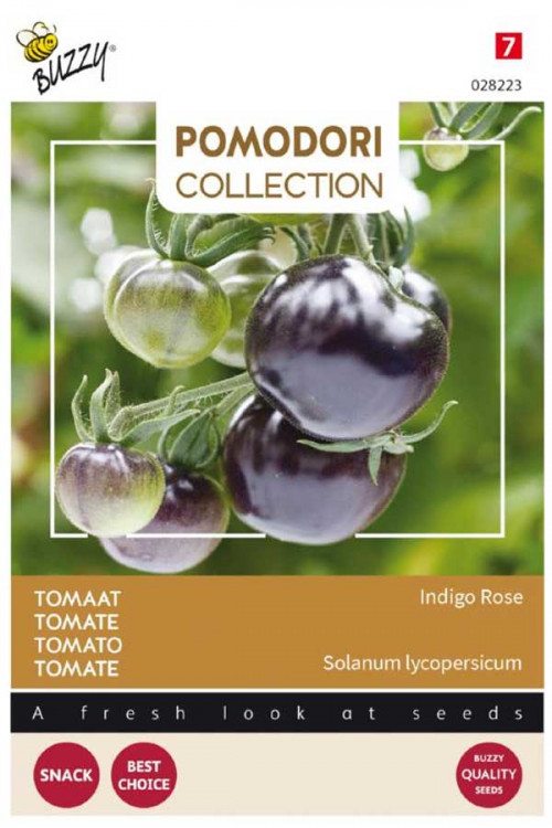 Indigo rose - Tomato seeds - 2026