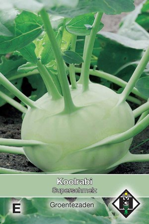 Kohlrabi Superschmelz