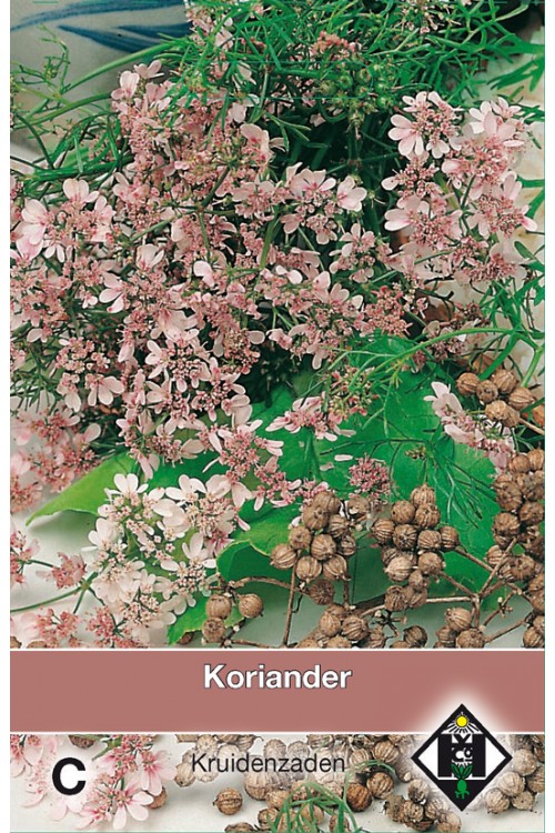 Koriander zaden - 2026