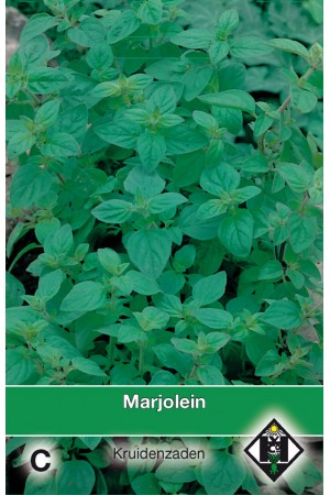 Oregano seeds - 2026